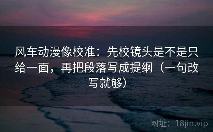 风车动漫像校准：先校镜头是不是只给一面，再把段落写成提纲（一句改写就够）  第2张